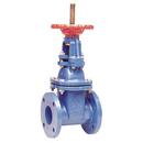 Watts Flanged Cast Iron Straight Resilient Wedge Gate Valve 