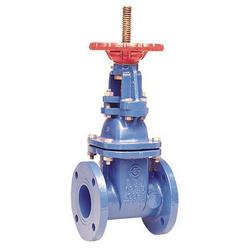 3 in. Flanged Cast Iron Straight Resilient Wedge Gate Valve