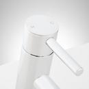 Signature Hardware Chrome Single Handle Centerset Bathroom Sink Faucet with Pop-Up Drain Assembly 