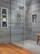 Delta Faucet Stainless Pressure Balance Shower Trim with Double Lever Handle (Trim Only) 