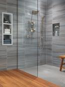 Delta Faucet Stainless Pressure Balance Shower Trim with Double Lever Handle (Trim Only) 
