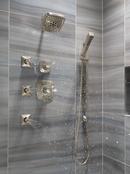 Delta Faucet Stainless Pressure Balance Shower Trim with Double Lever Handle (Trim Only) 