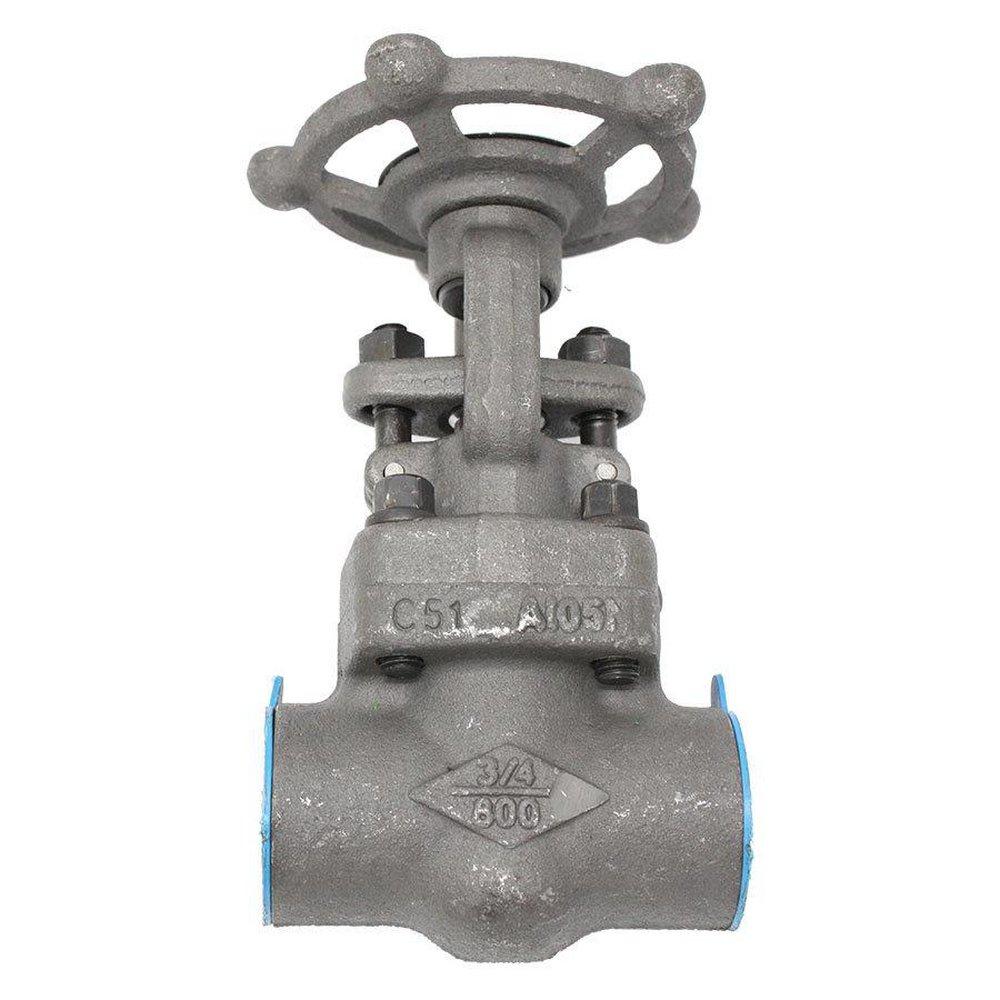Crane Valve/Crane Energy Flow Sol Forged Steel Regular Port Threaded Gate Valve 