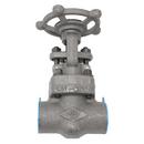 Crane Valve/Crane Energy Flow Sol Forged Steel Regular Port Threaded Gate Valve 