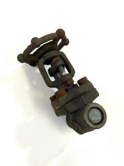 3/4 in. Forged Steel Regular Port Socket Weld Gate Valve