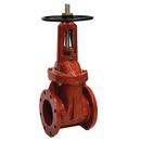 6 in. Flanged Cast Iron Straight Resilient Wedge Gate Valve