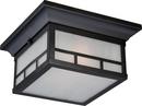 NUVO Stone Black 11 in. 2-Light 60W Ceiling Fixture 