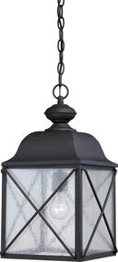 NUVO Textured Black 1-Light Outdoor Hanging Fixture with Clear Seed Glass 