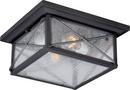 NUVO Textured Black 2-Light Outdoor Flushmount Fixture 