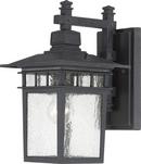 14 in. 1-Light Wall Mounted Outdoor Lantern with Clear Seeded Glass in Textured Black