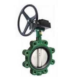 4 in. Ductile Iron Lug EPDM Gear Operator Handle Butterfly Valve