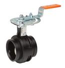 6 in. Ductile Iron Grooved EPDM 10 Position Handle with Memory Stop Butterfly Valve