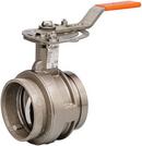 3 in. Ductile Iron Grooved EPDM 10 Position Handle with Memory Stop Butterfly Valve