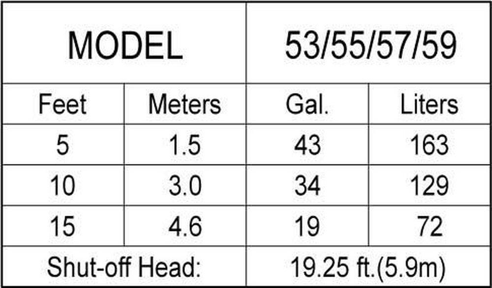 Zoeller Pump Co 1/3 HP 115V Cast Iron Submersible Sump Pump (M53) 