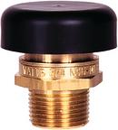 Watts Brass MNPT 15# 250 Relief Valve 