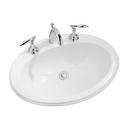 21-1/2 x 17-1/2 in. Oval Undermount Bathroom Sink in Stucco White