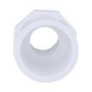 White PVC Schedule 40 Female Adapter 