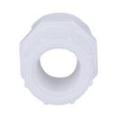 White PVC Schedule 40 Female Adapter 