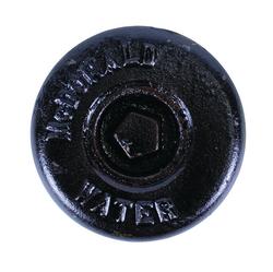 1-1/2 in. Lid with Plug