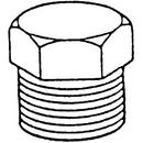 Threaded 150# 304 Stainless Steel Hex Plug 