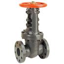 2-1/2 in. Cast Iron Full Port Flanged Gate Valve