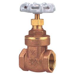 2-1/2 in. Brass Full Port FNPT Gate Valve