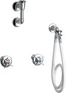 Chicago Faucets Polished Chrome Two Cross Handle Wall Mount Service Faucet 