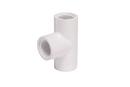 White FPT Straight Schedule 40 PVC Tee 