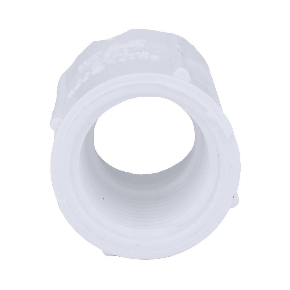 White PVC Schedule 40 Threaded Coupling 