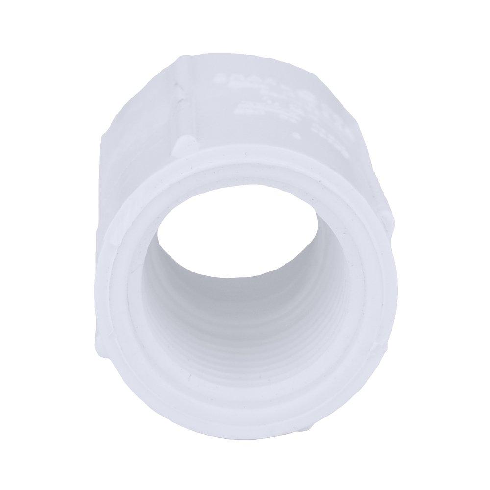 White PVC Schedule 40 Threaded Coupling 