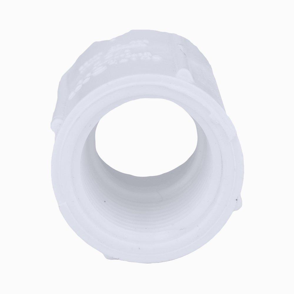 White PVC Schedule 40 Threaded Coupling 
