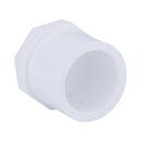 White PVC Schedule 40 Plug 