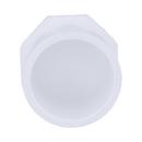 White PVC Schedule 40 Plug 