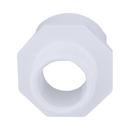 White PVC Schedule 40 Male Adapter 