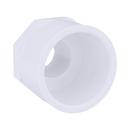 White PVC Schedule 40 Male Adapter 