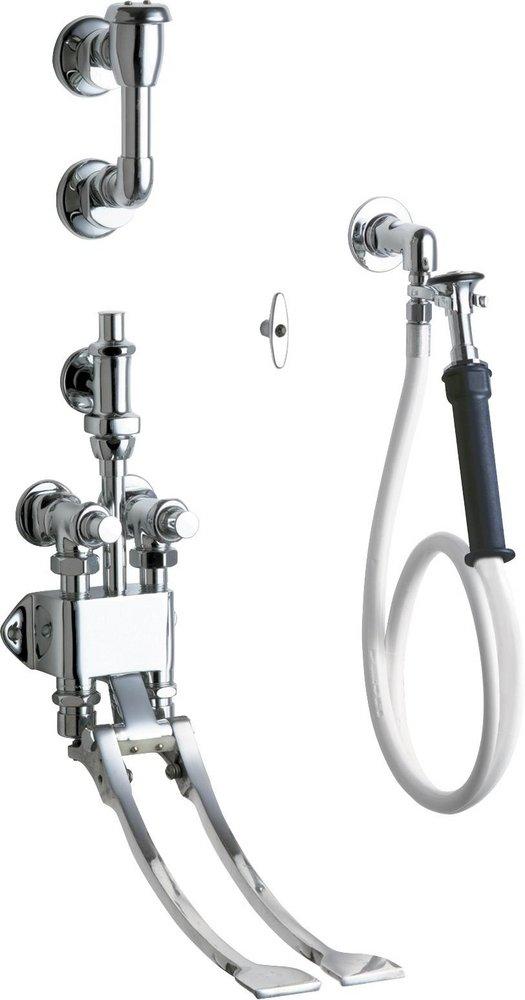 Chicago Faucets Polished Chrome Two Metering Handle Wall Mount Service Faucet 