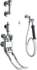 Chicago Faucets Polished Chrome Two Metering Handle Wall Mount Service Faucet 