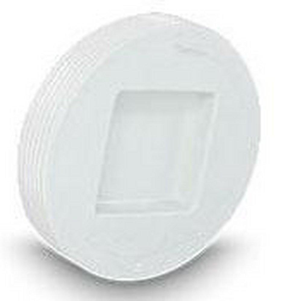 Multi-Fittings Corporation Threaded Sewer Straight and Clean-Out Recessed SDR 35 PVC Plug 