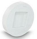 Multi-Fittings Corporation Threaded Sewer Straight and Clean-Out Recessed SDR 35 PVC Plug 