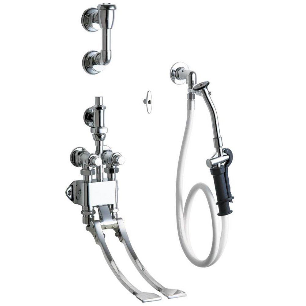 Chicago Faucets Polished Chrome Two Metering Handle Wall Mount Service Faucet 