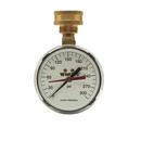 Watts Black Enamel Water Pressure Test Gauge 
