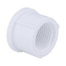 White PVC Schedule 40 FPT Cap 