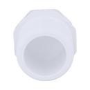 White PVC Schedule 40 MPT Plug 