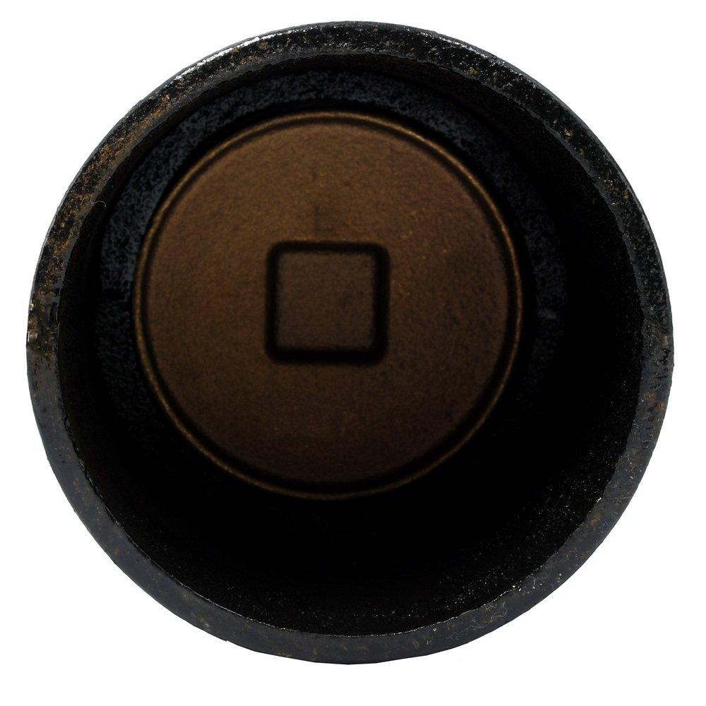 Black Spigot x FNPT Cast Iron Reducing Cleanout Ferrule with Plug 