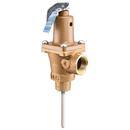 Watts 1 in. Bronze MNPT x FNPT 210 Relief Valve 