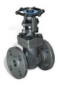 DSI Forum Energy Technologies Carbon Steel Flanged Gate Valve 