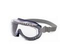 Uvex Safety Goggle with Blue Frame 