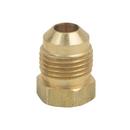 BrassCraft OD Tube Brass Flare Plug 