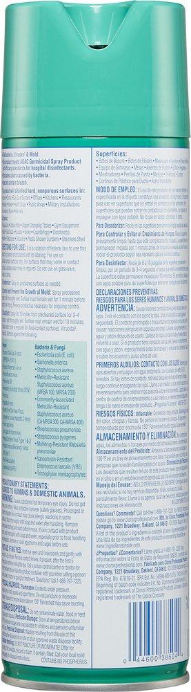 Clorox Disinfectant Spray 