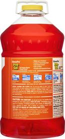 Pine-Sol Orange All-Purpose Cleaner in Orange 